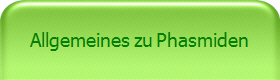 Allgemeines zu Phasmiden