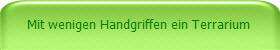 Mit wenigen Handgriffen ein Terrarium
